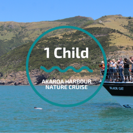Akaroa Harbour Nature Cruise (1x Child)