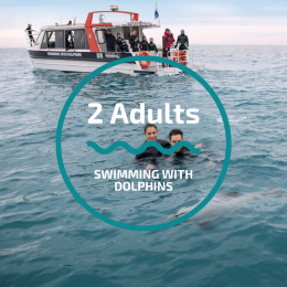 Swimming with Dolphins (2x Adult)