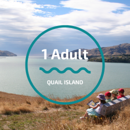 Quail Island (1x Adult) Return