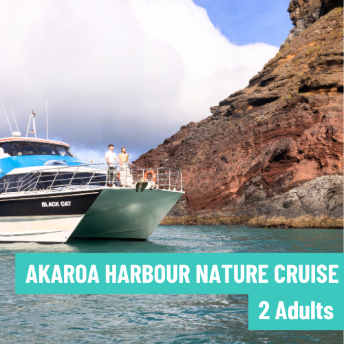 Akaroa Harbour Nature Cruise (2x Adults)