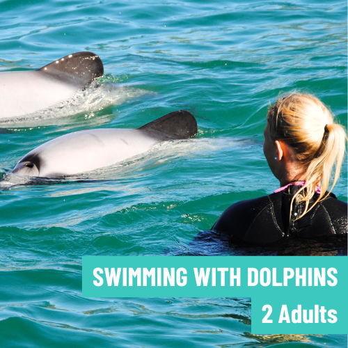 Swimming with Dolphins (2x Adult)