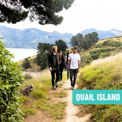 3.Quail Island
