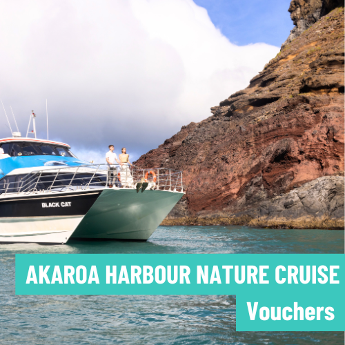 Akaroa Nature Cruise Vouchers