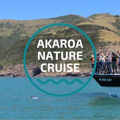 Akaroa Nature Cruise