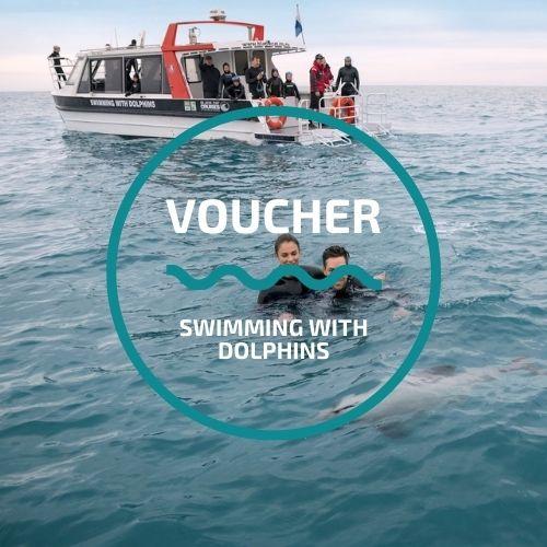 Swimming With Dolphins Vouchers