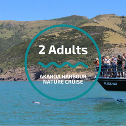 Akaroa Harbour Nature Cruise (2x Adults)