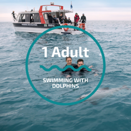 Swimming with Dolphins (1x Adult)