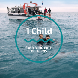 Swimming with Dolphins (1x Child)
